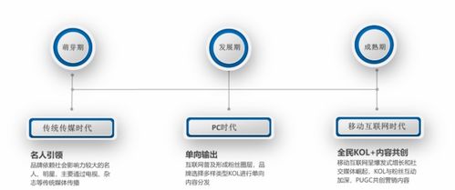 互联网时代下的KOL营销与销售变革